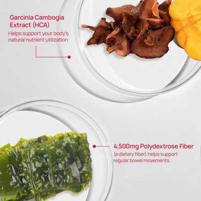 CUTTING JELLY